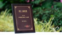 喜庄婚礼，荣获“2019中国婚礼策划十大品牌”