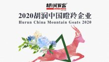 婚礼纪入选《2020胡润中国瞪羚企业》，领跑结婚产业