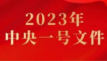 2023中央一号文件涉及婚嫁行业！