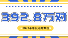 392.8万对！2023半年度全国结婚大数据